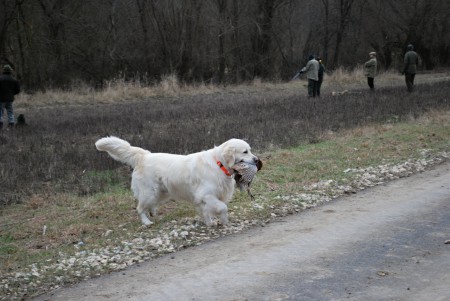 Bailey on hunting February 2014